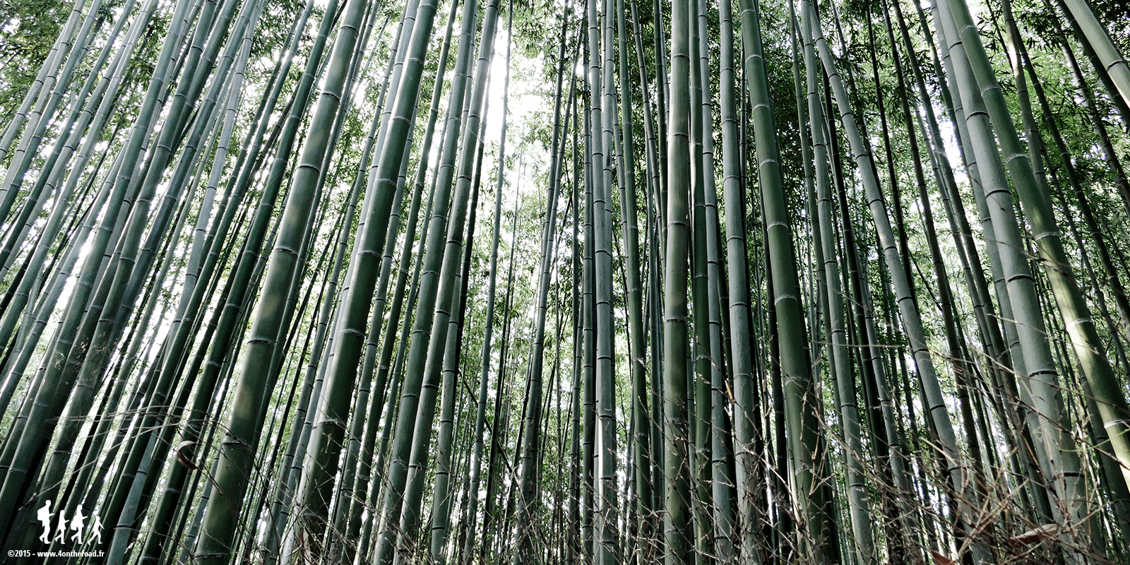arashiyama_010