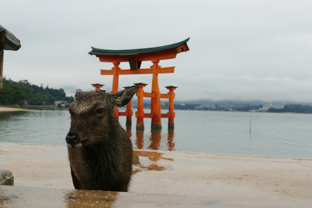 miyajima-paysages-006