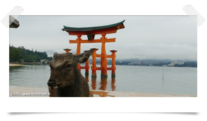 Miyajima