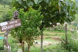 thai-apache-guesthouse (1) copie