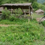 thai-apache-guesthouse (2) copie