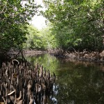 Bali-Lembongan (104)