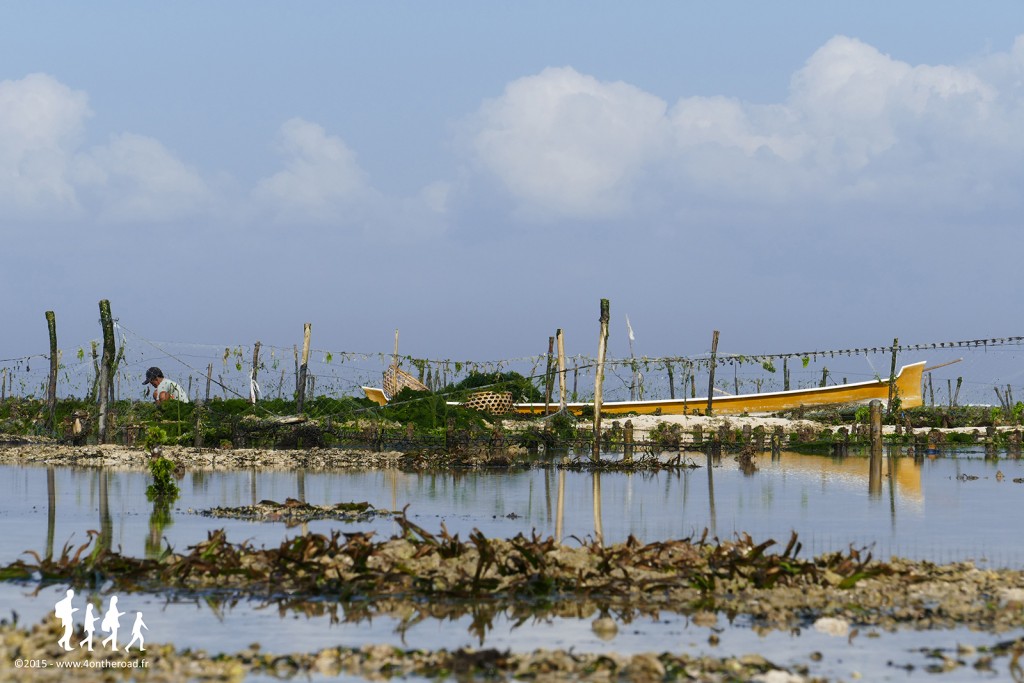 Bali-Lembongan (11)