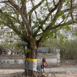 Bali-Lembongan (167)