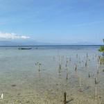 Bali-Lembongan (184)