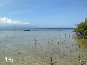 Bali-Lembongan (184)