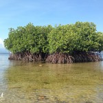 Bali-Lembongan (201)