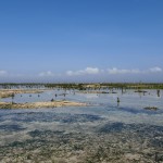 Bali-Lembongan (5)