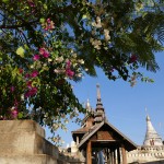 Myanmar-Bagan (50)