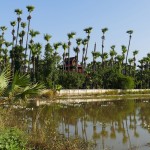 Myanmar-Mandalay-Inwa (37)