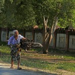 Myanmar-Mandalay-Inwa (4)