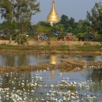 Myanmar-Mandalay-Inwa (43)