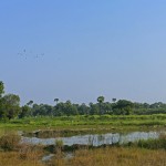 Myanmar-Mandalay-Inwa (7)