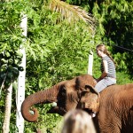 Thailande-Ganesha-Park (135)