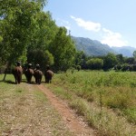 Thailande-Ganesha-Park (209)