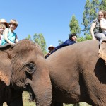 Thailande-Ganesha-Park (217)