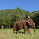 Thailande-Ganesha-Park (318)