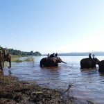 Thailande-Ganesha-Park (326)