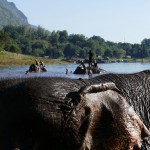 Thailande-Ganesha-Park (356)