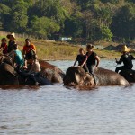 Thailande-Ganesha-Park (361)