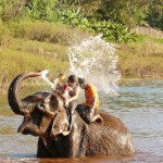 Thailande-Ganesha-Park (379)