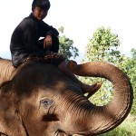 Thailande-Ganesha-Park (71)