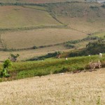 Myanmar-trek-kalaw-inle-J1 (100)