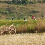 Myanmar-trek-kalaw-inle-J1 (102)