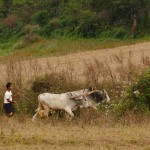 Myanmar-trek-kalaw-inle-J1 (121)