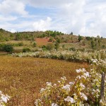 Myanmar-trek-kalaw-inle-J1 (39)