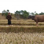 Myanmar-trek-kalaw-inle-J2 (100)