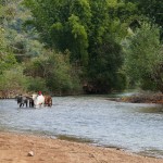 Myanmar-trek-kalaw-inle-J2 (111)