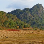 Myanmar-trek-kalaw-inle-J2 (133)