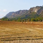 Myanmar-trek-kalaw-inle-J2 (134)