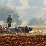 Myanmar-trek-kalaw-inle-J2 (49)