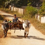 Myanmar-trek-kalaw-inle-J2 (64)