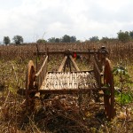 Myanmar-trek-kalaw-inle-J2 (65)