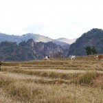 Myanmar-trek-kalaw-inle-J2 (99)