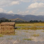 Myanmar-trek-kalaw-inle-J3 (48)