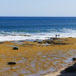 Australie-roadtrip-1201-Torquay-Anglesea (32)