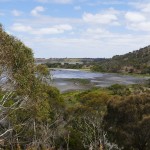 Australie-roadtrip-1501-Port_Fairy-Griffiths_Island-Tower_Hill-Halls Gap (84)