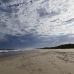 Australie-roadtrip-2101-Port_Stephens-Crowdy_Bay_National_Park (25)