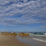 Australie-roadtrip-2101-Port_Stephens-Crowdy_Bay_National_Park (26)