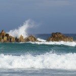 Australie-roadtrip-2101-Port_Stephens-Crowdy_Bay_National_Park (27)