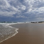 Australie-roadtrip-2101-Port_Stephens-Crowdy_Bay_National_Park (29)